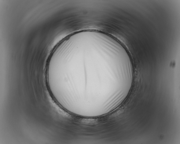 X0000111601135200908061408