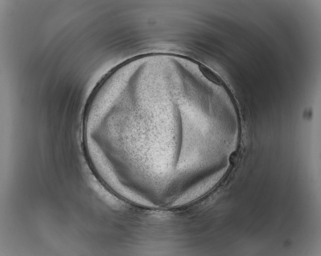 X0000111601136200908061408