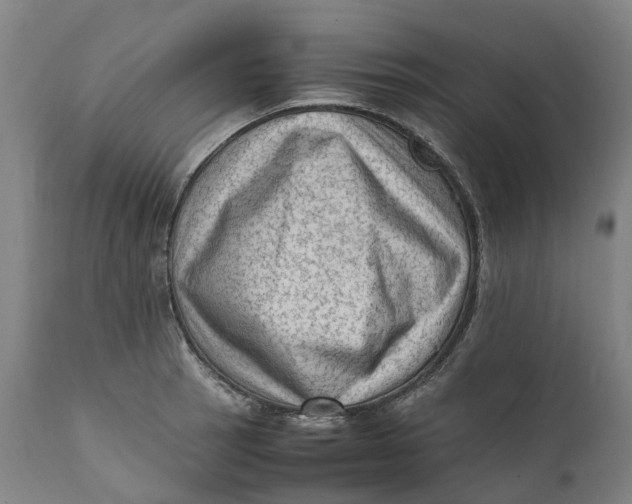 X0000111601137200908061408