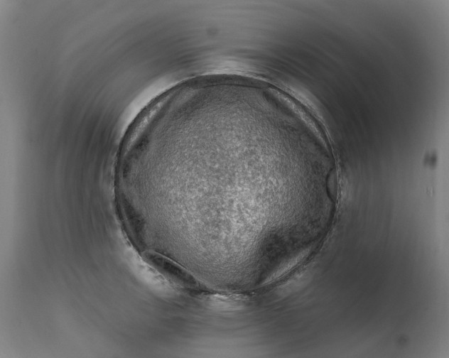 X0000111601138200908061408