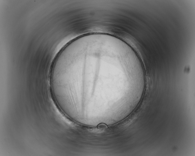 X0000111601141200908061408