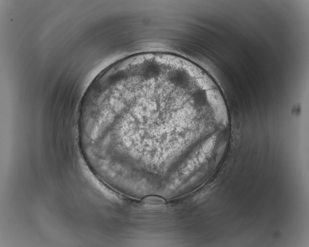 X0000111601142200908061408