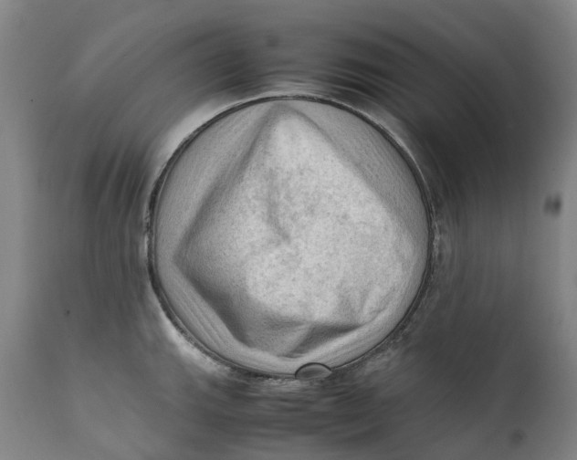 X0000111601143200908061408
