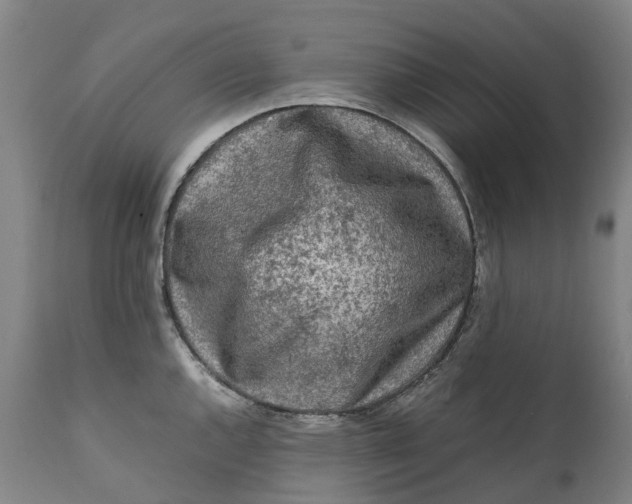 X0000111601144200908061408