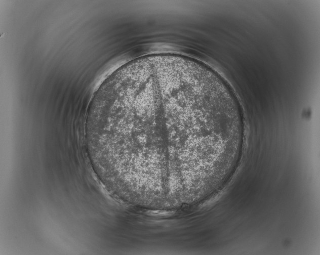 X0000111601145200908061408