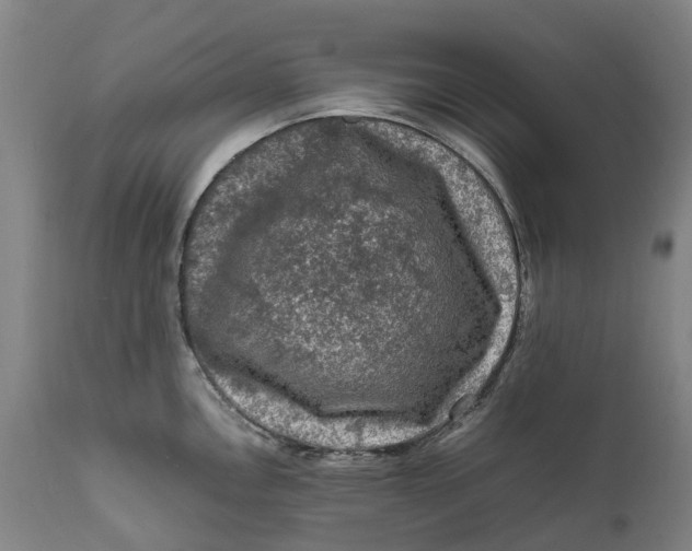X0000111601146200908061408