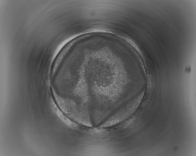 X0000111601148200908061408