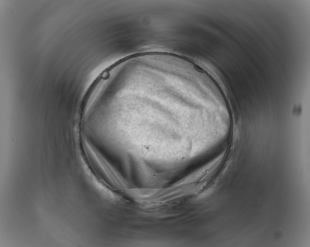 X0000111601149200908061408