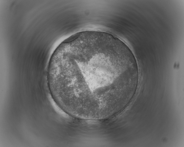 X0000111601152200908061408
