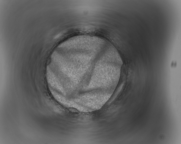 X0000111601153200908061407