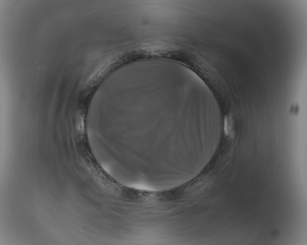 X0000111601155200908061407