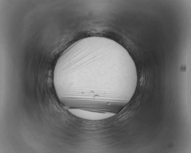 X0000111601156200908061407