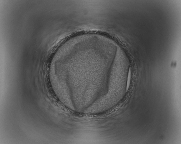 X0000111601157200908061407