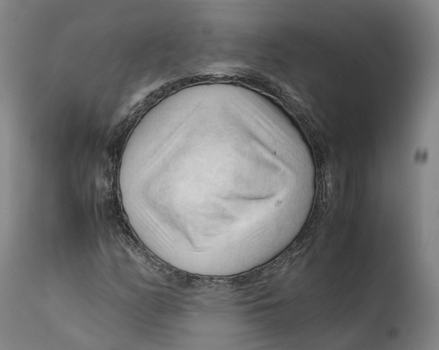 X0000111601158200908061407