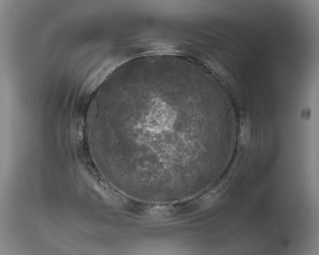 X0000111601161200908061407