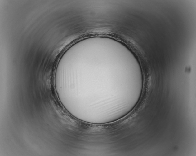 X0000111601162200908061407
