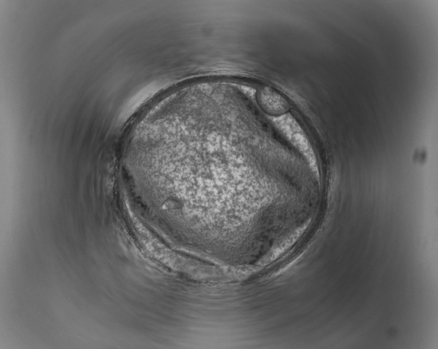 X0000111601163200908061407