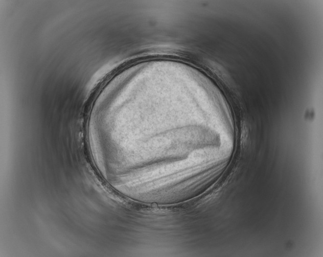 X0000111601164200908061407