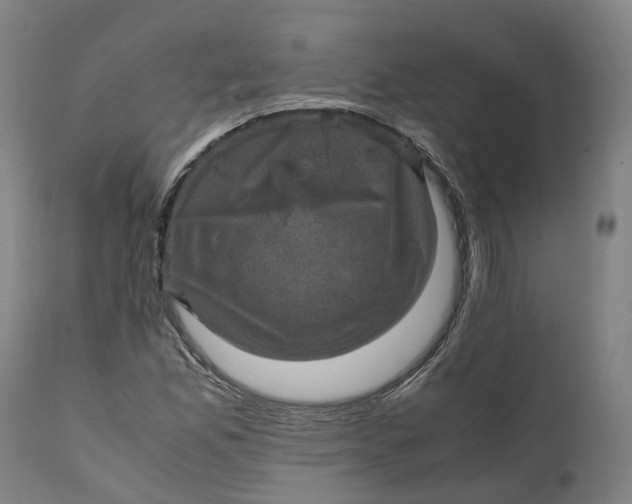 X0000111601165200908061407