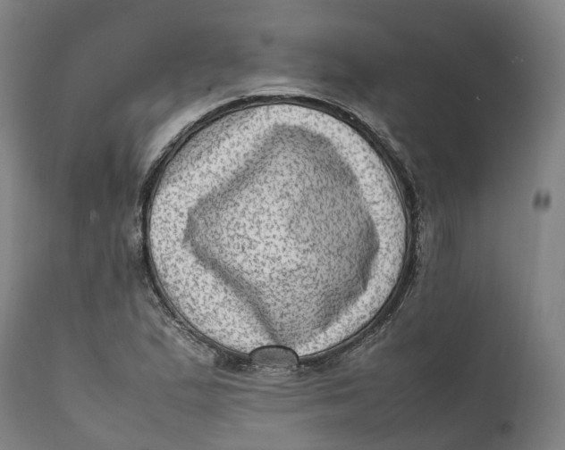 X0000111601167200908061407