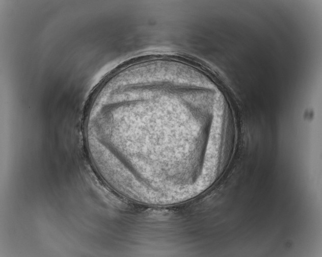 X0000111601168200908061407