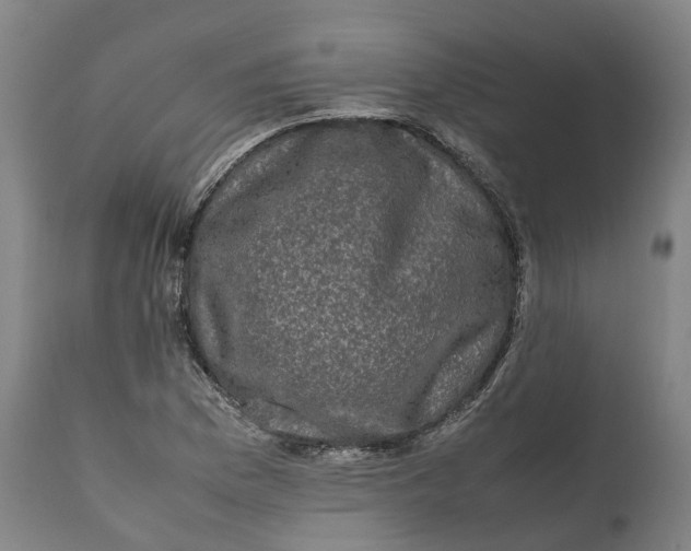 X0000111601169200908061407