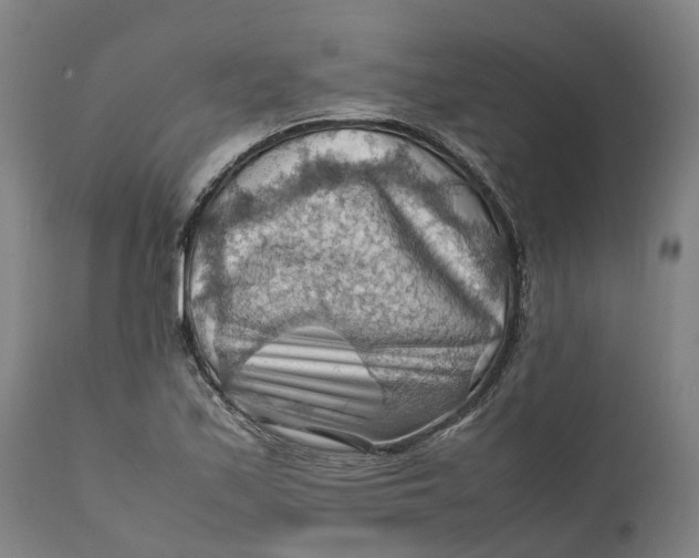 X0000111601171200908061407