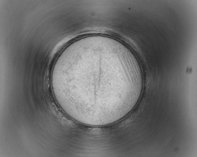 X0000111601172200908061407