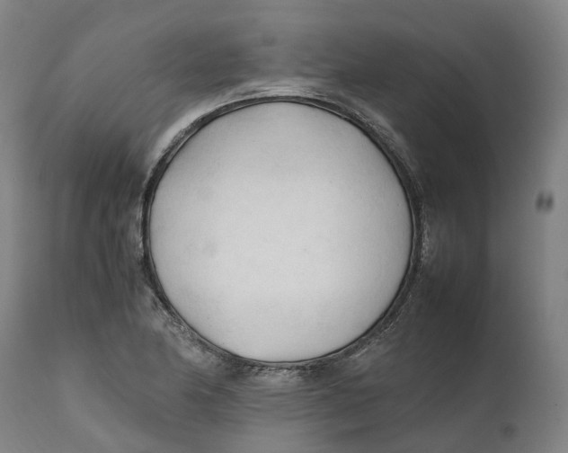 X0000111601174200908061407