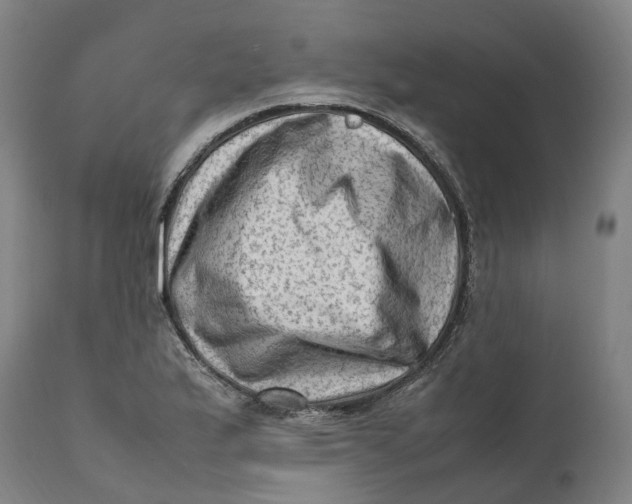 X0000111601175200908061407