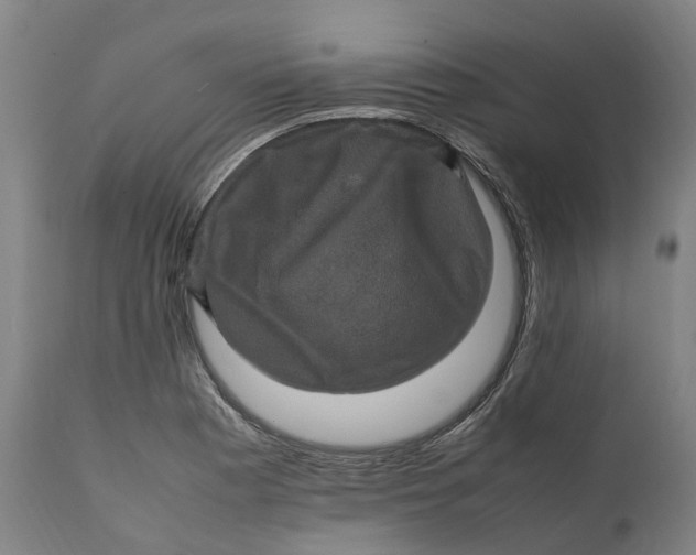 X0000111601177200908061407