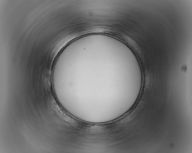 X0000111601178200908061407