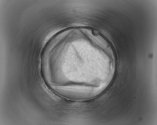 X0000111601179200908061407