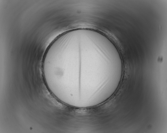 X0000111601182200908061407