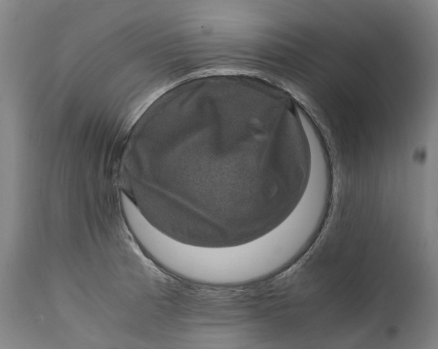 X0000111601185200908061407