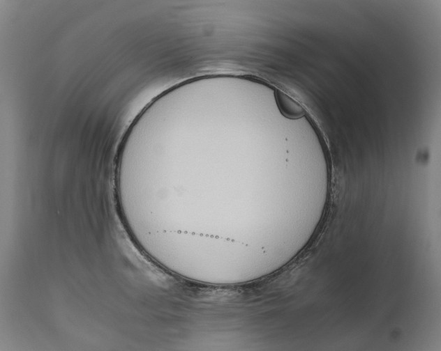 X0000111601187200908061407