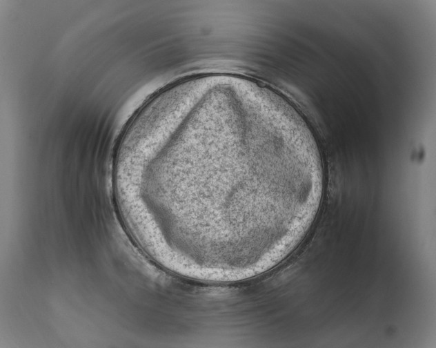 X0000111601188200908061407