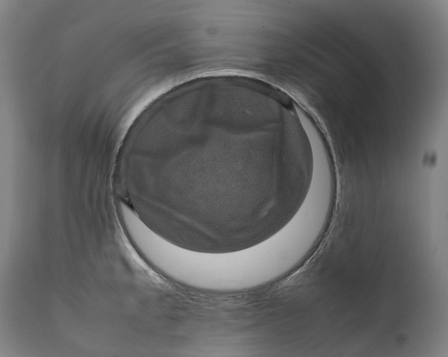 X0000111601189200908061407