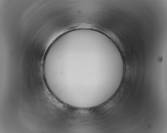 X0000111601190200908061407