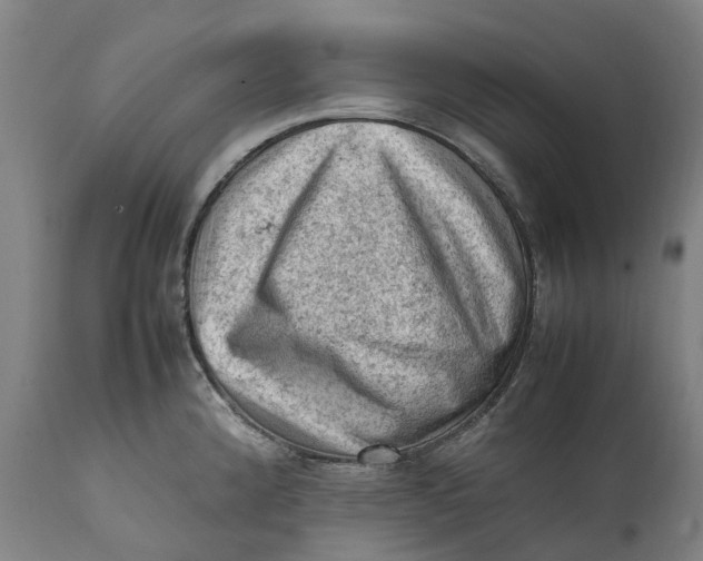 X0000111601192200908061407