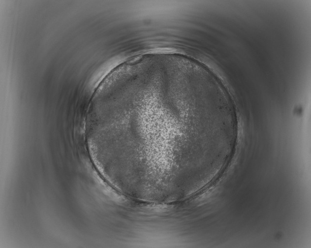 X0000111601193200908061407