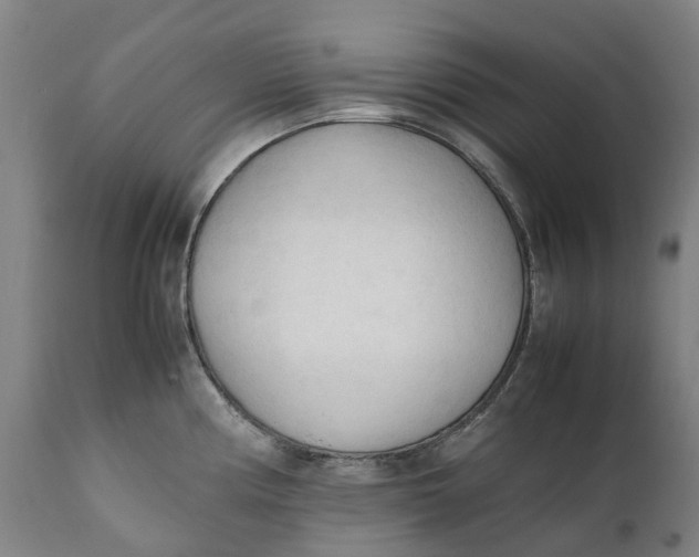 X0000111601194200908061407