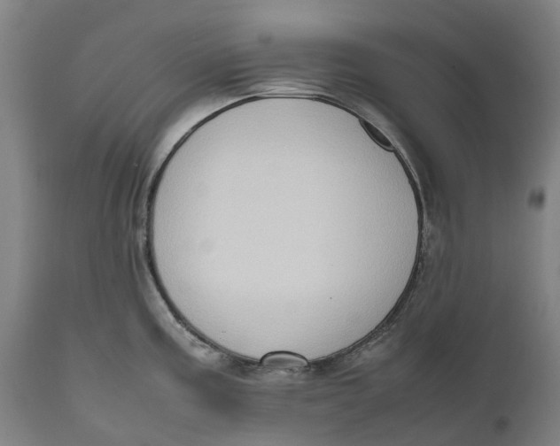 X0000111601195200908061406