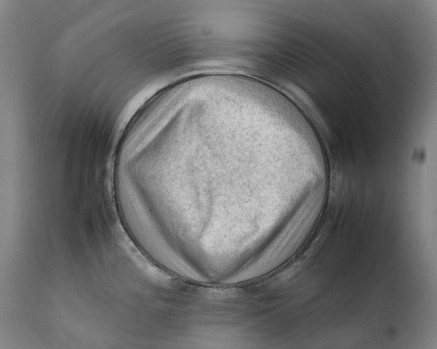 X0000111601196200908061406