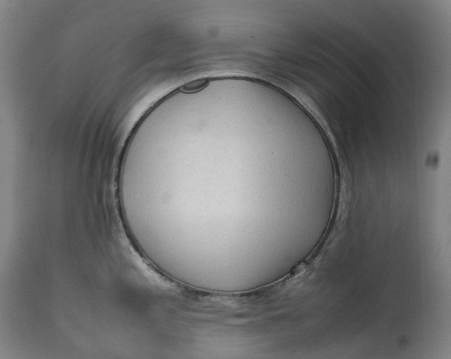 X0000111601197200908061406