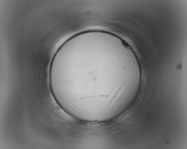 X0000111601199200908061406