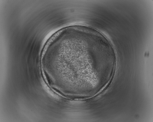 X0000111601200200908061406