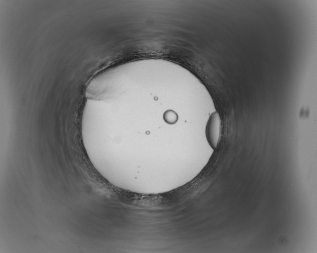X0000111601201200908061406