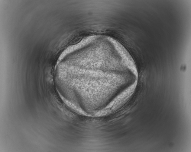 X0000111601202200908061406