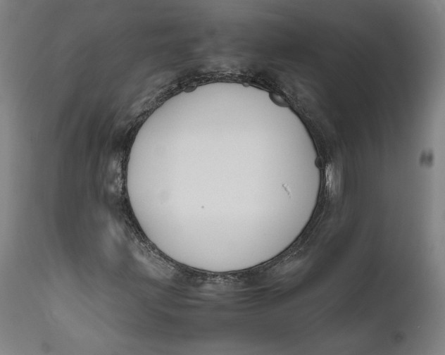 X0000111601203200908061406